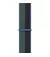 Нейлоновый ремешок для Apple Watch 38/40/41mm Apple Sport Loop Midnight/Eucalyptus (MN5M3)