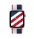 Нейлоновый ремешок для Apple Watch 42/44/45 mm Apple Sport Loop United States International Collection (MJ5E3)