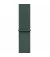 Нейлоновый ремешок для Apple Watch 42mm Apple Sport Loop Lake Green (MXL23)