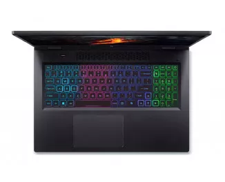 Ноутбук Acer Nitro 17 AN17-42 (NH.QPBAA.001) Black