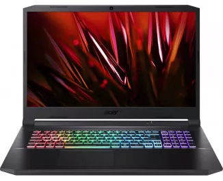 Ноутбук Acer Nitro 5 AN517-41 (NH.QBHEV.01Q) Shale Black