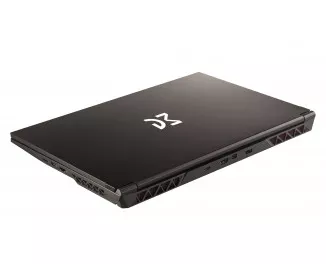 Ноутбук Dream Machines RG2050-15 (RG2050-15UA25) Black