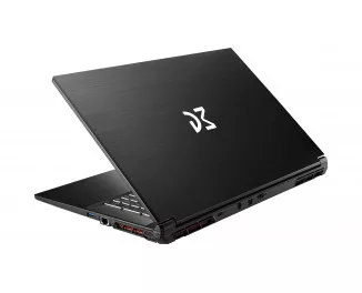 Ноутбук Dream Machines RG4070-17 (RG4070-17UA21) Black