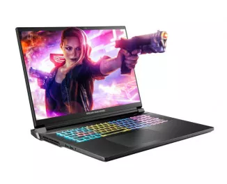 Ноутбук Dream Machines RX5070TI-18 (RX5070TI-18UA21) Black