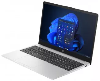 Ноутбук HP 250 G10 (AL0C4AT) Silver