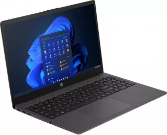 Ноутбук HP 255 G10 (B84P9UA_custom) Dark Ash Silver