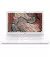 Ноутбук HP Chromebook 14-ca051nr (2H9R0UA) Snow White