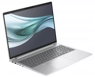 Ноутбук HP EliteBook 665 G11 (8Z714AV) Silver