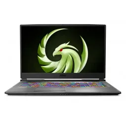 Ноутбук MSI Alpha 17 A4DEK (A4DEK-021US) Aluminum Black