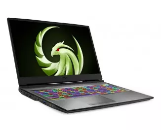 Ноутбук MSI Alpha 17 A4DEK (A4DEK-021US) Aluminum Black