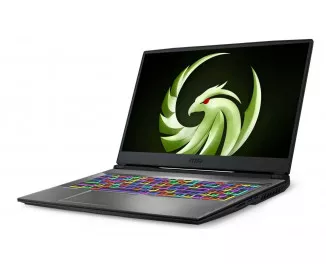 Ноутбук MSI Alpha 17 A4DEK (A4DEK-021US) Aluminum Black