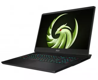 Ноутбук MSI Alpha 17 C7VG (C7VG-031DE) Core Black