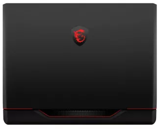 Ноутбук MSI Raider GE68 HX 14VGG (14VGG-287US_32_custom) Black