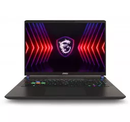 Ноутбук MSI Vector 16 HX A14VGG (A14VGG-254US) Cosmo Gray