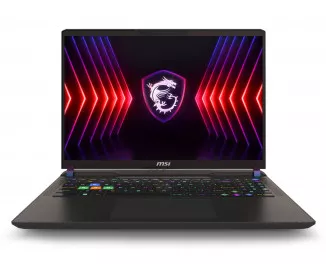 Ноутбук MSI Vector 16 HX A14VGG (A14VGG-254US) Cosmo Gray