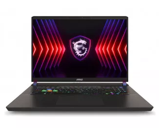 Ноутбук MSI Vector 17 HX A14VGG (A14VGG-219US, VECTOR17A1219) Cosmos Gray