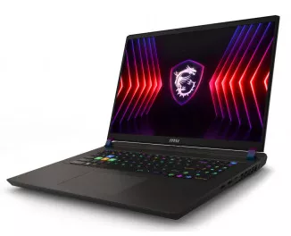 Ноутбук MSI Vector 17 HX A14VGG (A14VGG-219US, VECTOR17A1219) Cosmos Gray