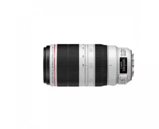 Объектив Canon EF 100-400mm F4.5-5.6L IS II USM (9524B005)
