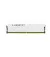 Оперативная память DDR5 16 Gb (6000 MHz) Kingston Fury Beast EXPO White (KF560C36BWE-16)