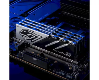 Оперативна пам'ять DDR5 32 Gb (5200 MHz) (Kit 16 Gb x 2) Apacer Panther (AH5U32G52C5227BAA-2)