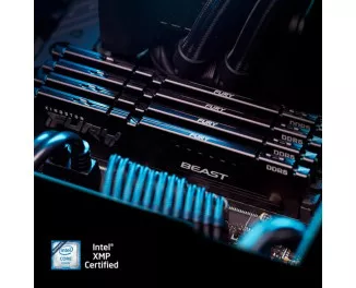 Оперативная память DDR5 32 Gb (5200 MHz) (Kit 16 Gb x 2) Kingston Fury Beast Black (KF552C36BBEK2-32)