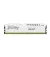 Оперативная память DDR5 32 Gb (6000 MHz) Kingston Fury Beast EXPO White (KF560C36BWE-32)