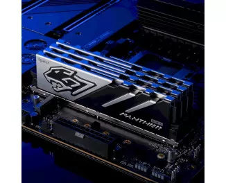 Оперативная память DDR5 32 Gb (6000 MHz) (Kit 16 Gb x 2) Apacer Panther (AH5U32G60C6227BAA-2)