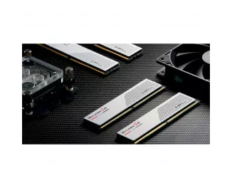 Оперативна пам'ять DDR5 32 Gb (6400 MHz) (Kit 16 Gb x 2) G.SKILL Ripjaws S5 Matte White (F5-6400J3648F16GX2-RS5W)