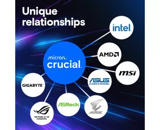 Оперативна пам'ять DDR5 48 Gb (5600 MHz) Crucial Pro (CP48G56C46U5)