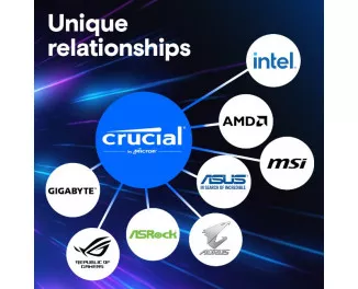 Оперативная память DDR5 48 Gb (6000 MHz) (Kit 24 Gb x 2) Crucial Pro (CP2K24G60C48U5)