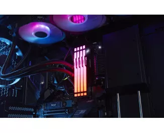 Оперативна пам'ять DDR5 8 Gb (5600 MHz) Kingston Fury Beast (KF556C40BB-8)