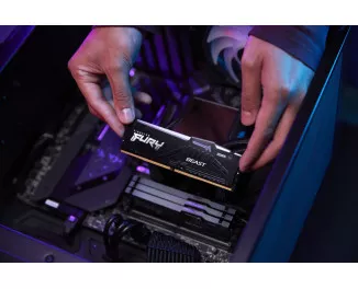 Оперативна пам'ять DDR5 8 Gb (5600 MHz) Kingston Fury Beast (KF556C40BB-8)