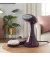 Відпарювач Russell Hobbs Steam Genie Colour Control 27410-56