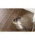 Пароочисник Karcher SC 1 Multi & Up (1.516-410.0)