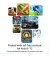 Планшет Amazon Fire HD 8 kids pro 12th gen. 32 GB (2022) Rainbow Universe Kid-Frendly