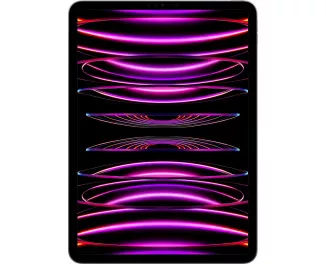 Планшет Apple iPad Pro 11 2022 Wi-Fi + Cellular 2Tb Space Gray (MP5G3, MNYL3)