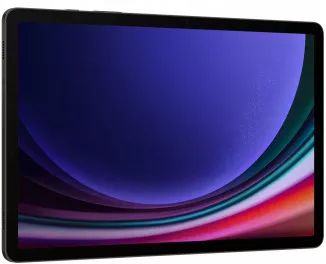 Планшет Samsung Galaxy Tab S9 Ultra Wi-Fi 16/1TB Graphite (SM-X910NZAI)