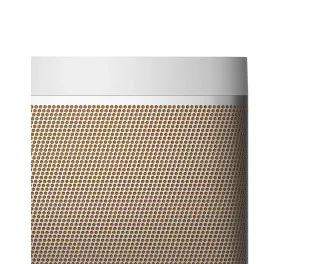 Портативна колонка Bang & Olufsen Beolit 20 Grey Mist