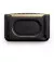 Портативна колонка JBL Authentics 300 (JBLAUTH300BLKEP) Black