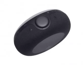 Портативная колонка JBL Horizon 2 Black (JBLHORIZON2BLK)