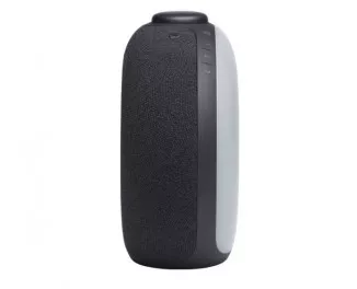Портативная колонка JBL Horizon 2 Black (JBLHORIZON2BLK)