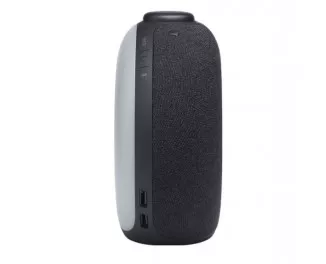 Портативная колонка JBL Horizon 2 Black (JBLHORIZON2BLK)