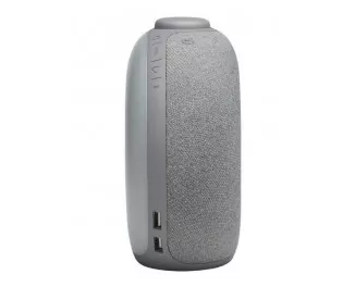 Портативная колонка JBL Horizon 2 Gray (JBLHORIZON2GRYEU)