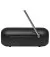 Портативна колонка JBL Tuner 2 (JBLTUNER2BLK) Black 