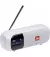 Портативна колонка JBL Tuner 2 (JBLTUNER2WHT) White 