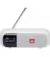 Портативна колонка JBL Tuner 2 (JBLTUNER2WHT) White 