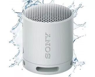 Портативная колонка Sony SRS-XB100 Grey (SRSXB100H.CE7)