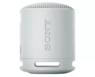 Портативная колонка Sony SRS-XB100 Grey (SRSXB100H.CE7)