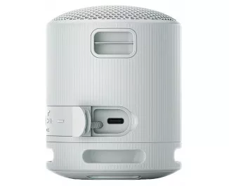 Портативная колонка Sony SRS-XB100 Grey (SRSXB100H.CE7)
