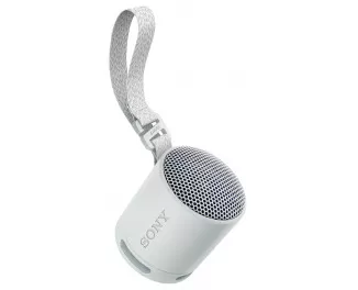 Портативная колонка Sony SRS-XB100 Grey (SRSXB100H.CE7)